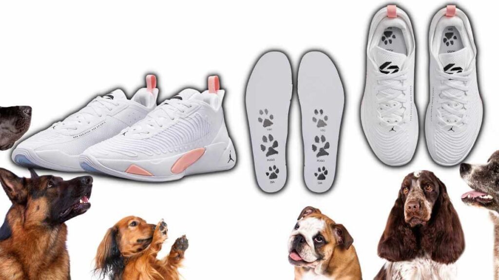 Luka Doncic’s Jordan Luka 1 is Inspired by His Adorable Dogs